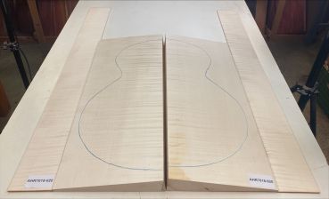 Boden & Zargen Ahorn, europ. Archtop Einzelstück #020